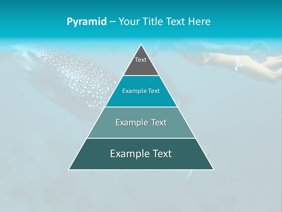 A Woman Swimming Next To A Whale In The Ocean PowerPoint Template