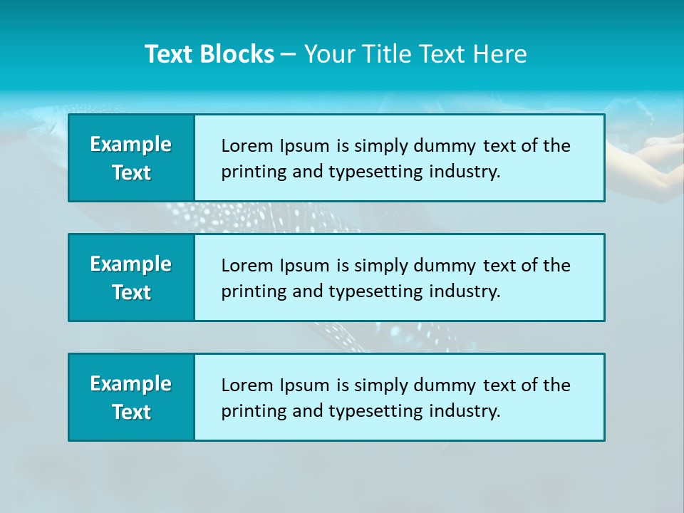 A Woman Swimming Next To A Whale In The Ocean PowerPoint Template