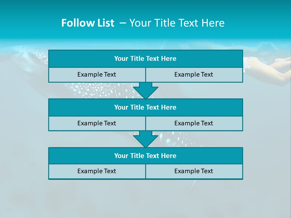 A Woman Swimming Next To A Whale In The Ocean PowerPoint Template