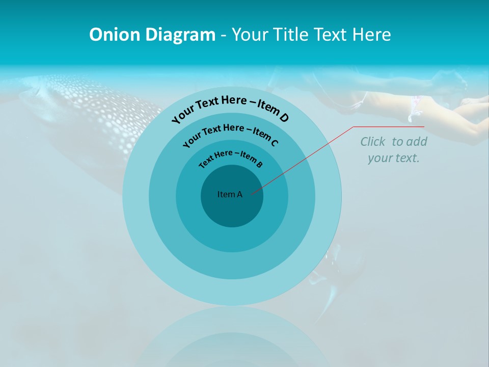 A Woman Swimming Next To A Whale In The Ocean PowerPoint Template