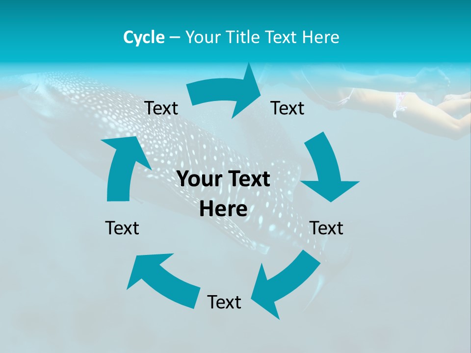 A Woman Swimming Next To A Whale In The Ocean PowerPoint Template