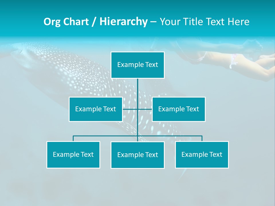 A Woman Swimming Next To A Whale In The Ocean PowerPoint Template