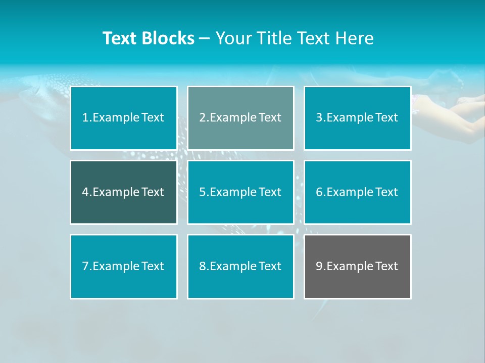 A Woman Swimming Next To A Whale In The Ocean PowerPoint Template