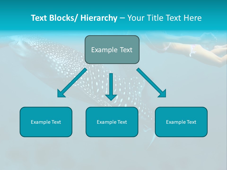 A Woman Swimming Next To A Whale In The Ocean PowerPoint Template