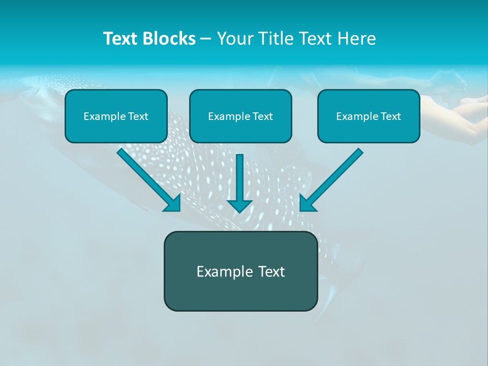 A Woman Swimming Next To A Whale In The Ocean PowerPoint Template