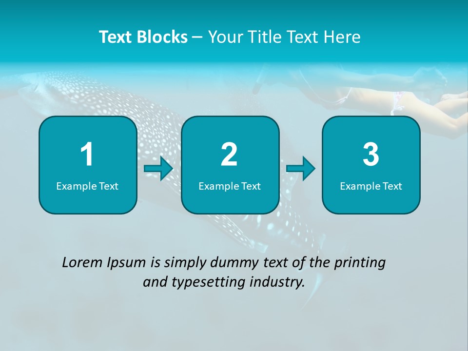 A Woman Swimming Next To A Whale In The Ocean PowerPoint Template