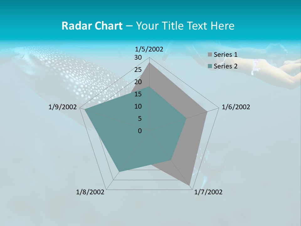 A Woman Swimming Next To A Whale In The Ocean PowerPoint Template