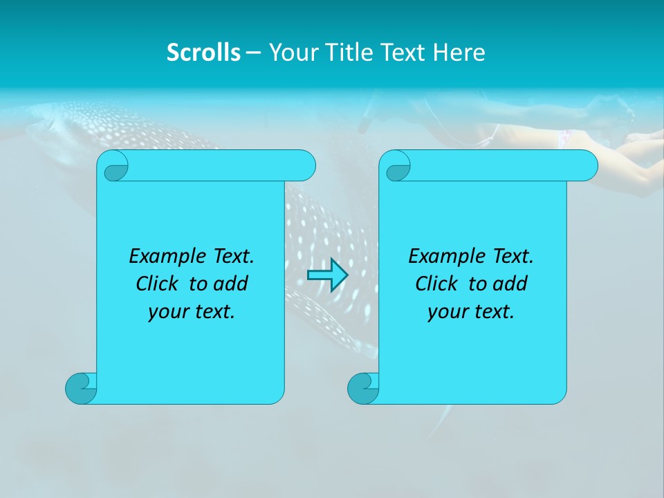 A Woman Swimming Next To A Whale In The Ocean PowerPoint Template