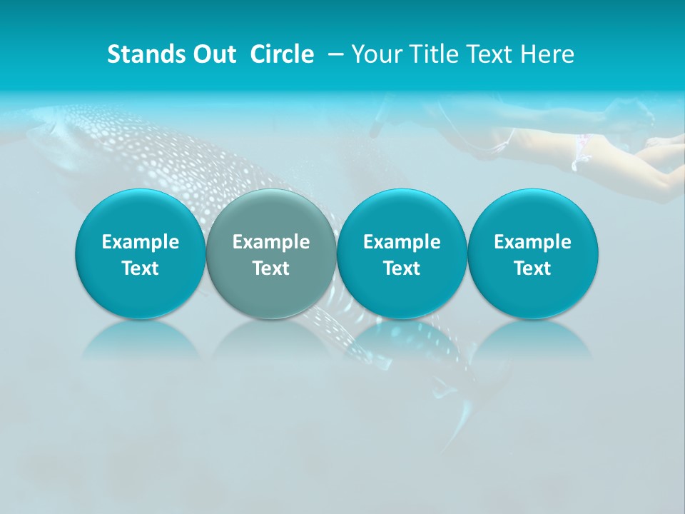 A Woman Swimming Next To A Whale In The Ocean PowerPoint Template