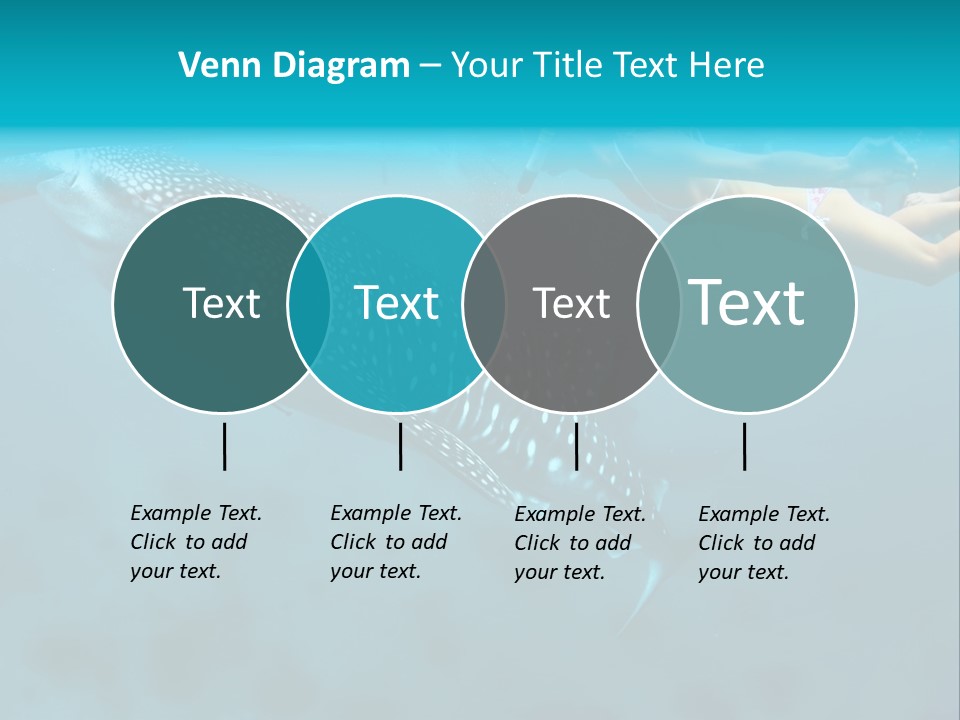 A Woman Swimming Next To A Whale In The Ocean PowerPoint Template