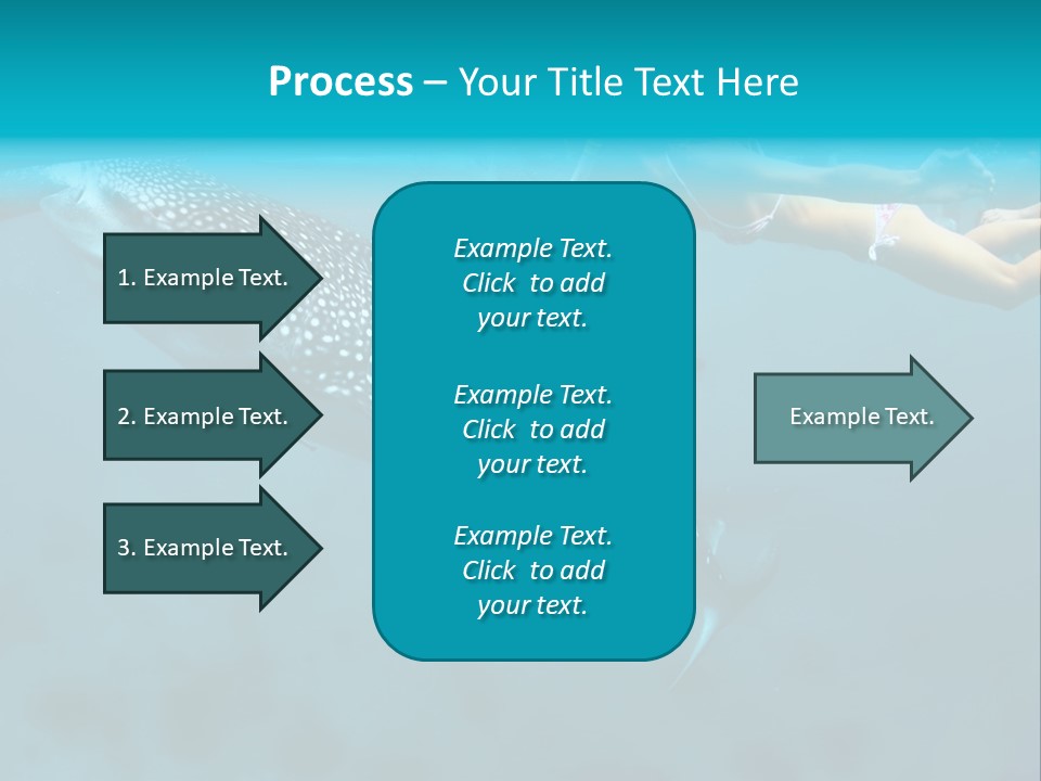 A Woman Swimming Next To A Whale In The Ocean PowerPoint Template