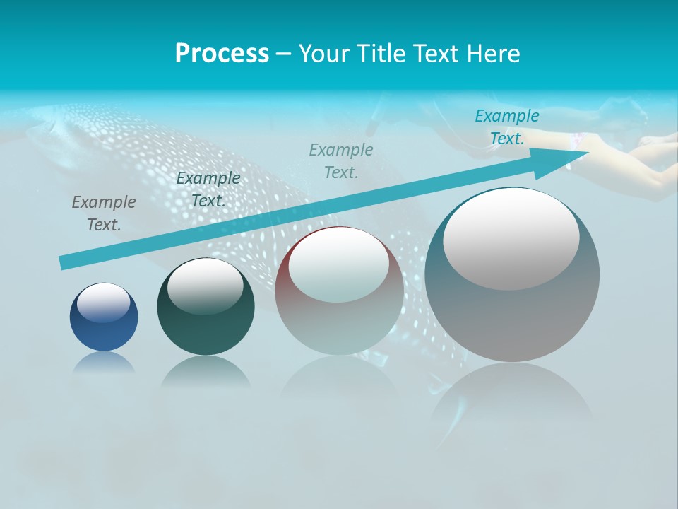 A Woman Swimming Next To A Whale In The Ocean PowerPoint Template