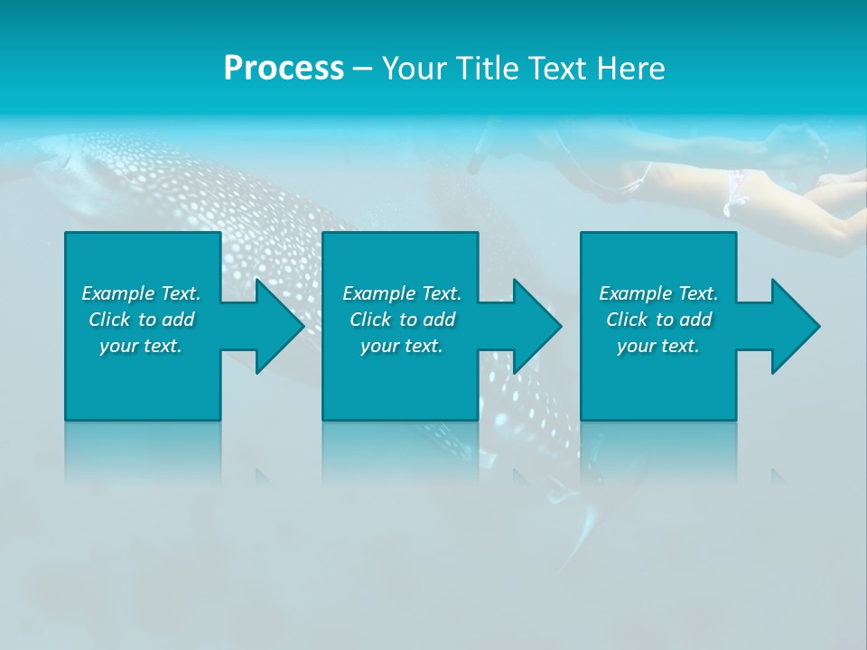 A Woman Swimming Next To A Whale In The Ocean PowerPoint Template