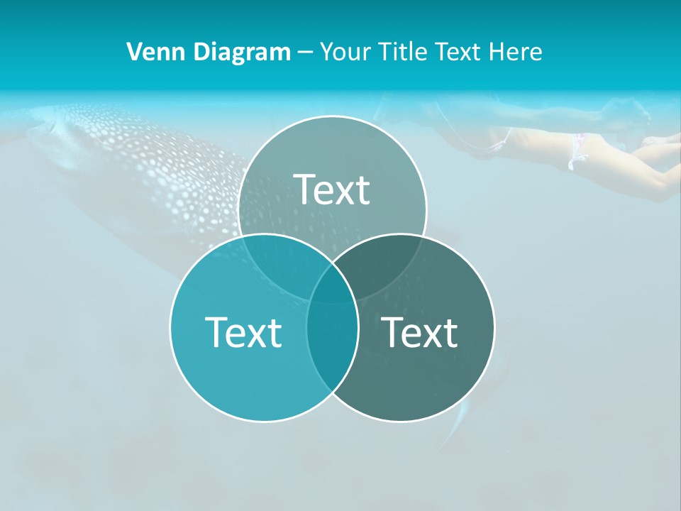 A Woman Swimming Next To A Whale In The Ocean PowerPoint Template