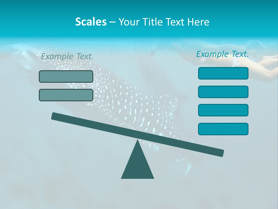 A Woman Swimming Next To A Whale In The Ocean PowerPoint Template