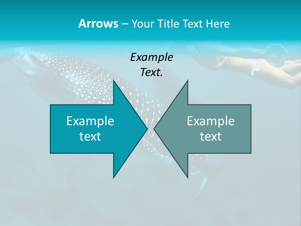 A Woman Swimming Next To A Whale In The Ocean PowerPoint Template