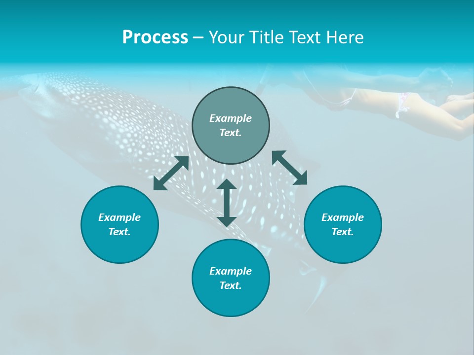 A Woman Swimming Next To A Whale In The Ocean PowerPoint Template