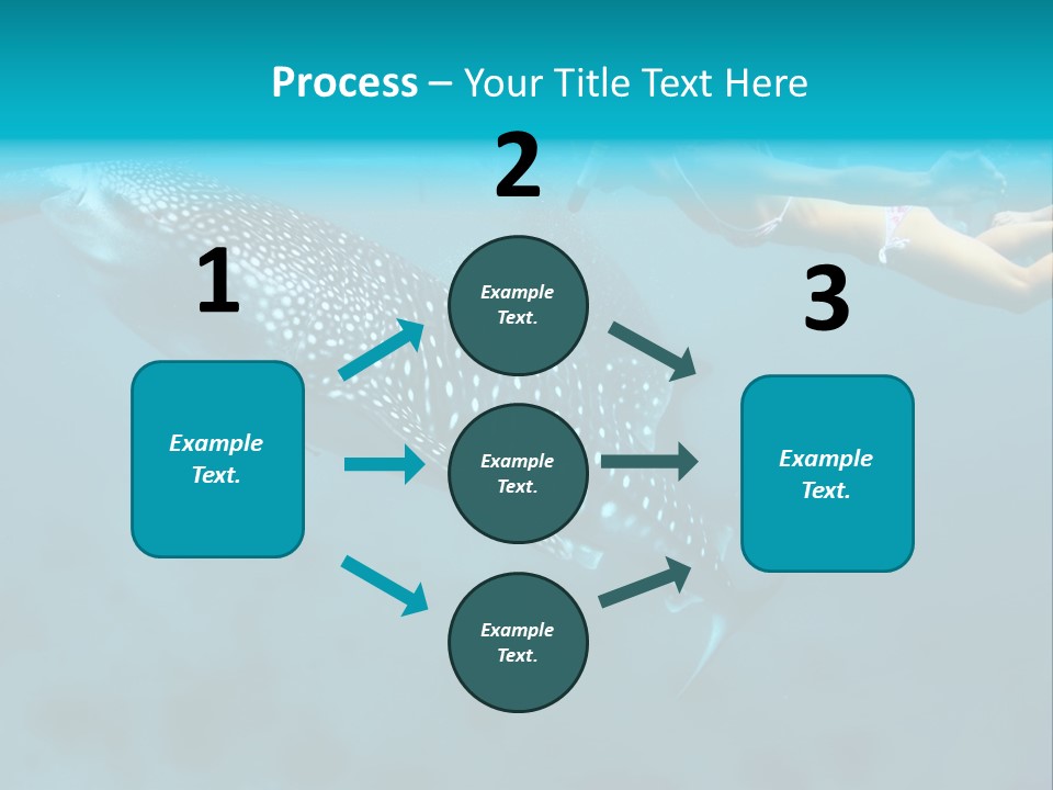 A Woman Swimming Next To A Whale In The Ocean PowerPoint Template