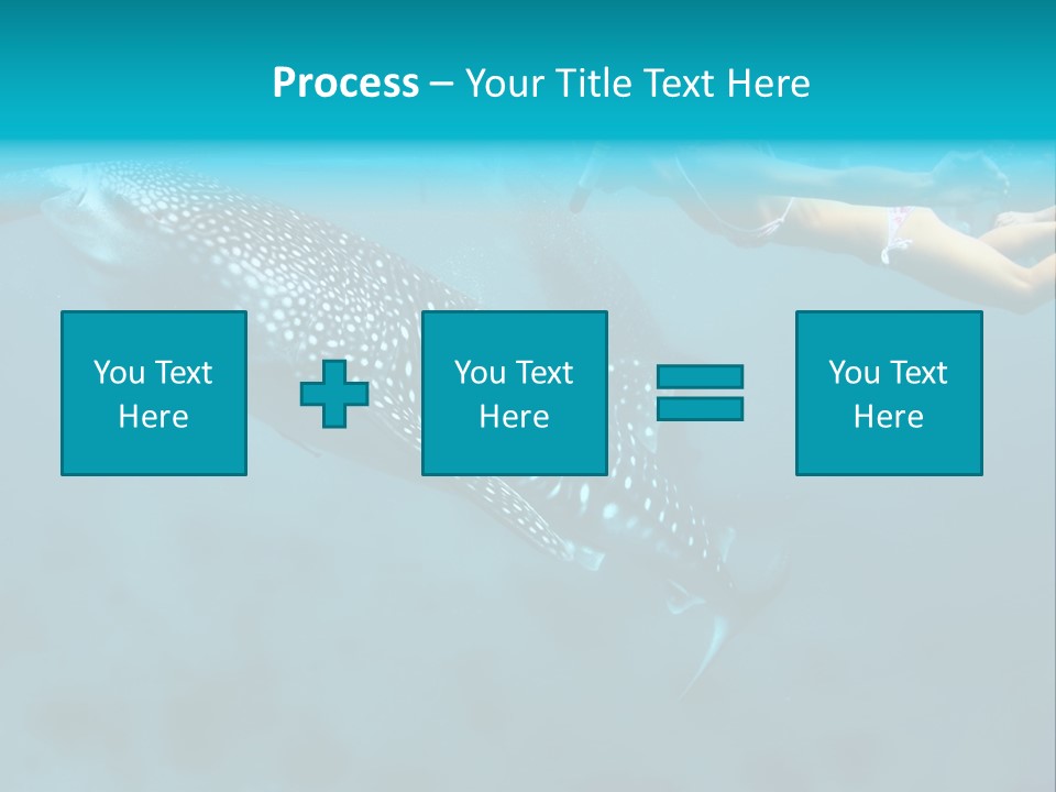 A Woman Swimming Next To A Whale In The Ocean PowerPoint Template