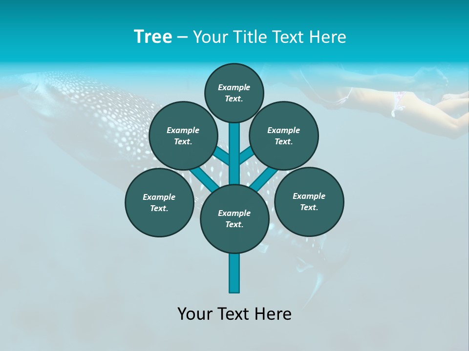 A Woman Swimming Next To A Whale In The Ocean PowerPoint Template