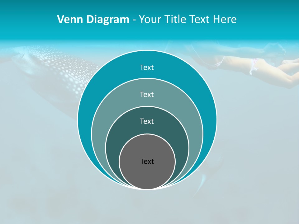 A Woman Swimming Next To A Whale In The Ocean PowerPoint Template