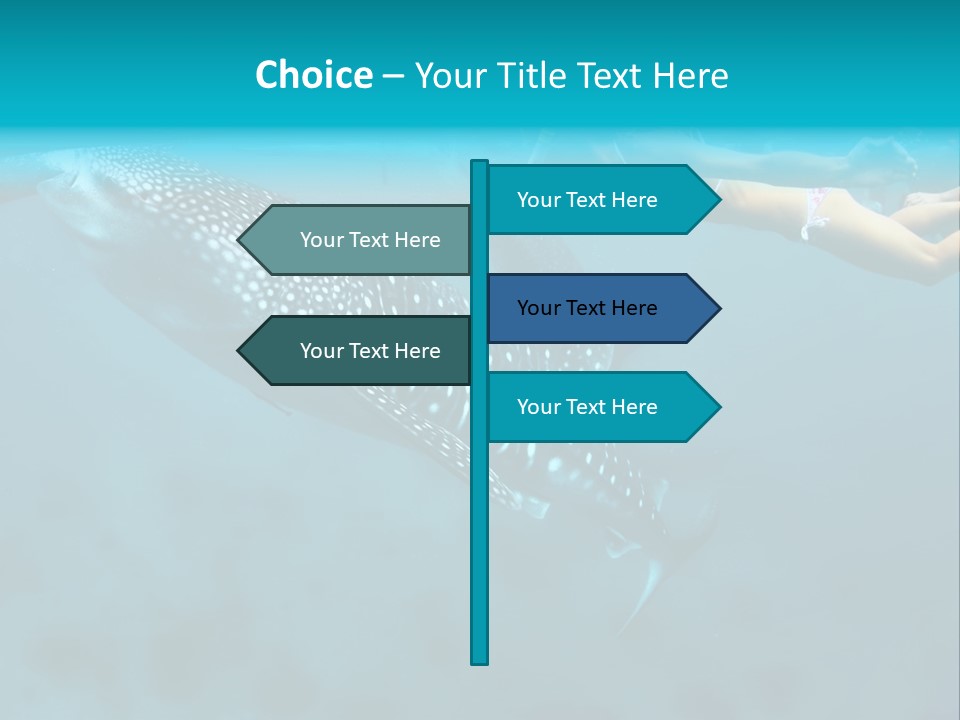 A Woman Swimming Next To A Whale In The Ocean PowerPoint Template