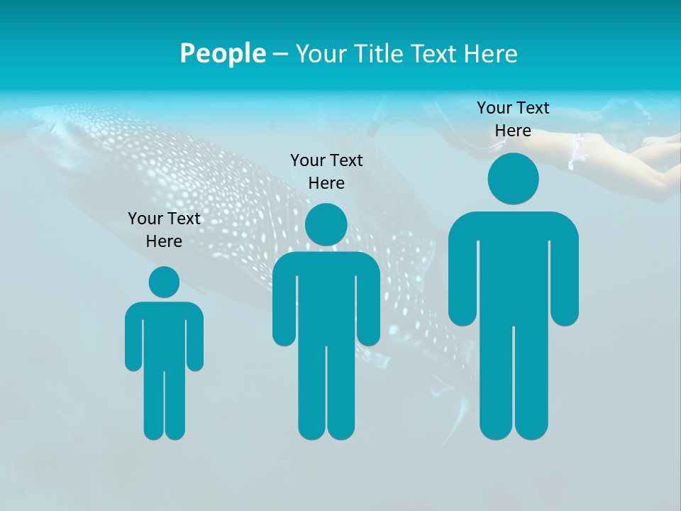 A Woman Swimming Next To A Whale In The Ocean PowerPoint Template