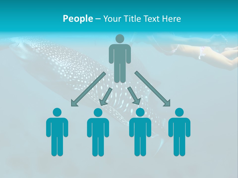 A Woman Swimming Next To A Whale In The Ocean PowerPoint Template