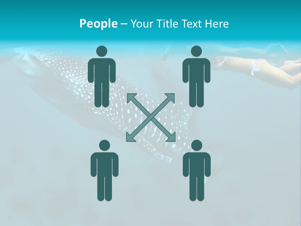 A Woman Swimming Next To A Whale In The Ocean PowerPoint Template