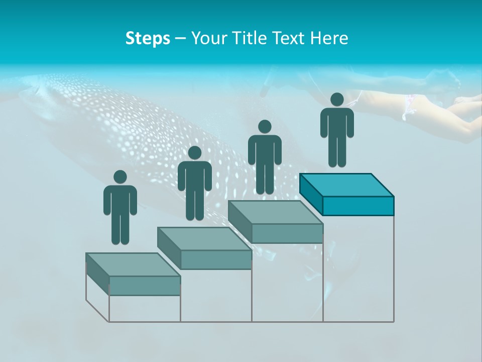 A Woman Swimming Next To A Whale In The Ocean PowerPoint Template