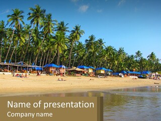 A Sandy Beach With Palm Trees And Blue Umbrellas PowerPoint Template