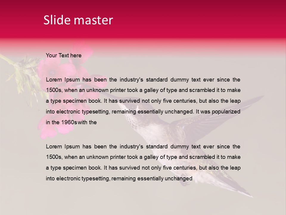 A Hummingbird Feeding From A Pink Flower PowerPoint Template