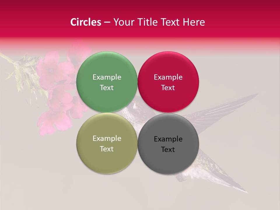 A Hummingbird Feeding From A Pink Flower PowerPoint Template
