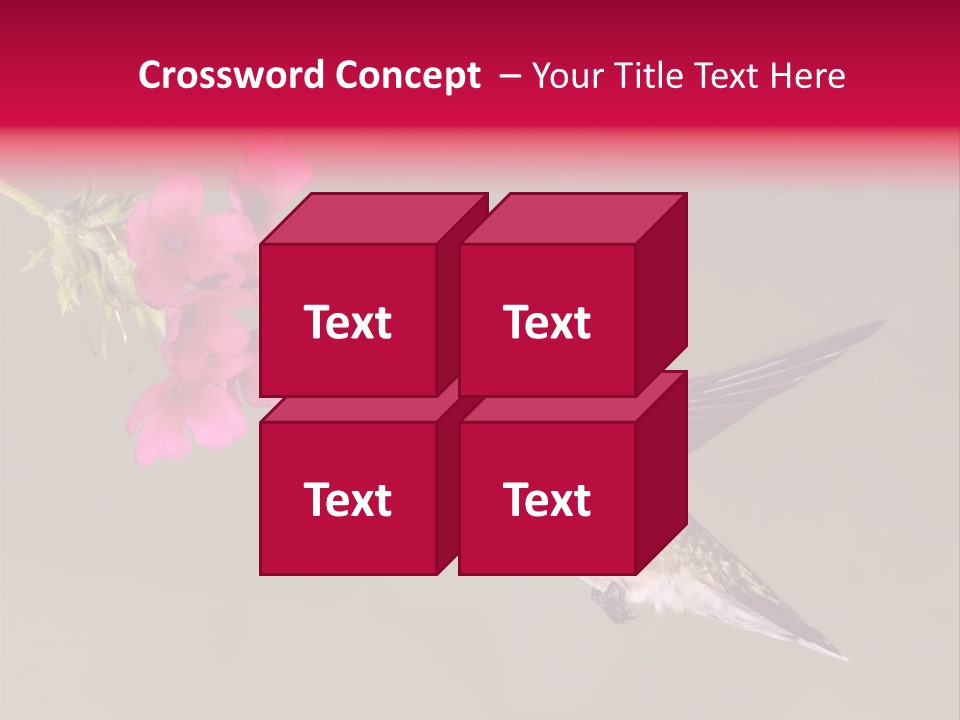 A Hummingbird Feeding From A Pink Flower PowerPoint Template