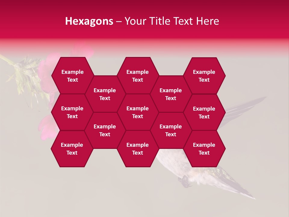 A Hummingbird Feeding From A Pink Flower PowerPoint Template