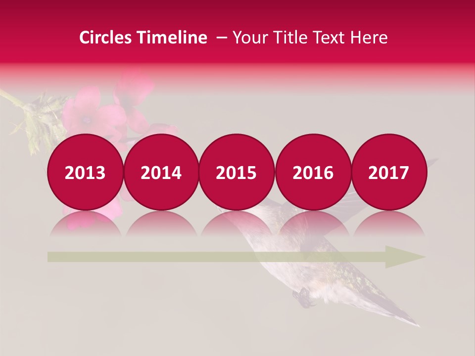 A Hummingbird Feeding From A Pink Flower PowerPoint Template