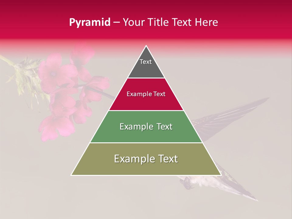 A Hummingbird Feeding From A Pink Flower PowerPoint Template