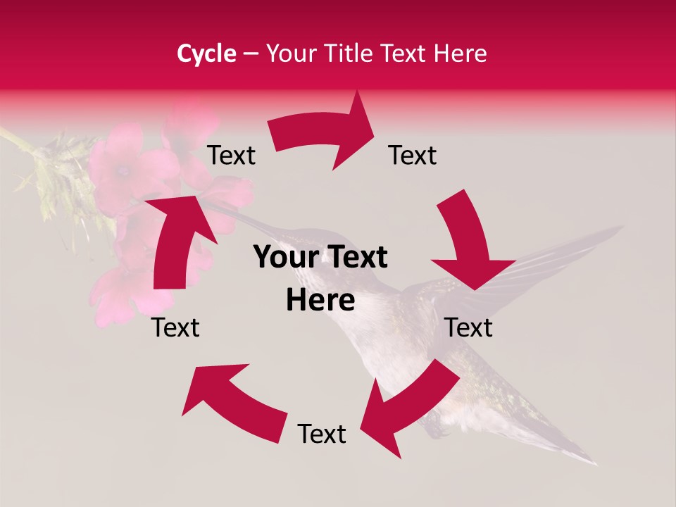 A Hummingbird Feeding From A Pink Flower PowerPoint Template