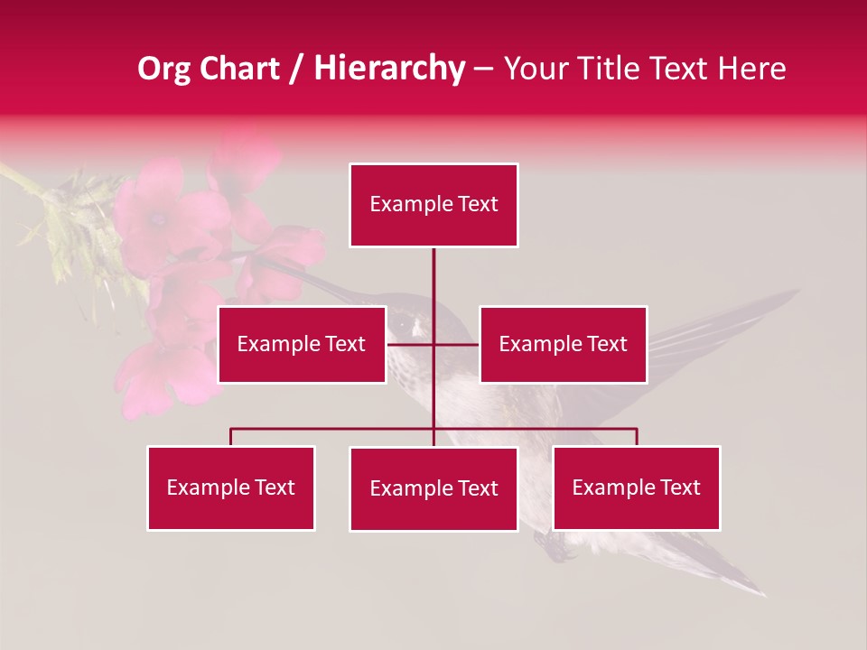 A Hummingbird Feeding From A Pink Flower PowerPoint Template