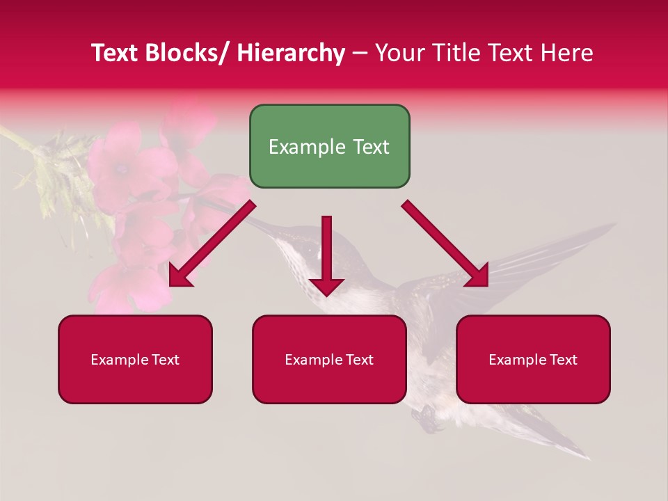 A Hummingbird Feeding From A Pink Flower PowerPoint Template