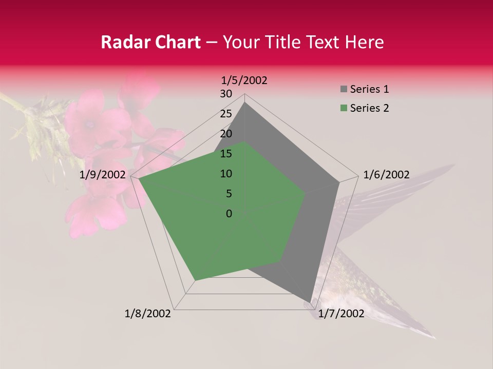 A Hummingbird Feeding From A Pink Flower PowerPoint Template