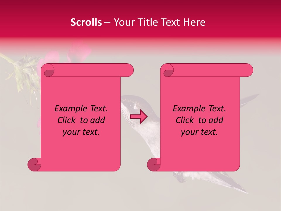 A Hummingbird Feeding From A Pink Flower PowerPoint Template