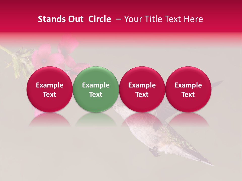 A Hummingbird Feeding From A Pink Flower PowerPoint Template