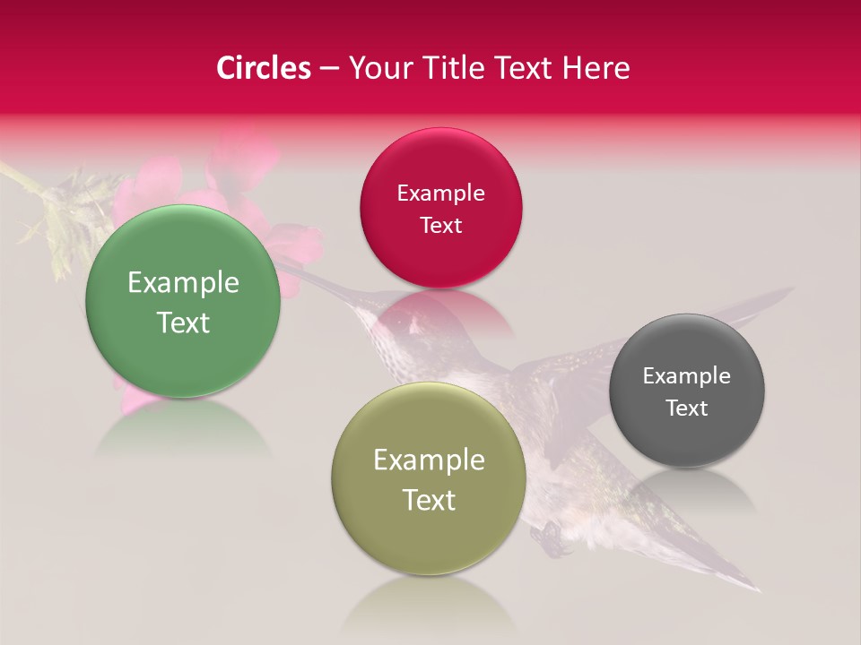 A Hummingbird Feeding From A Pink Flower PowerPoint Template