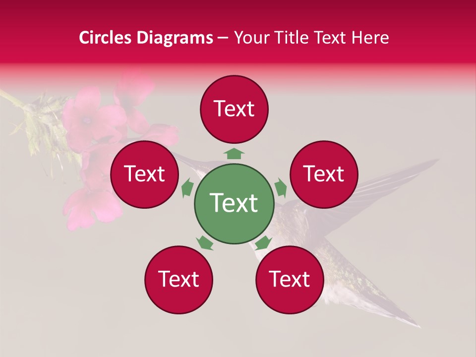 A Hummingbird Feeding From A Pink Flower PowerPoint Template