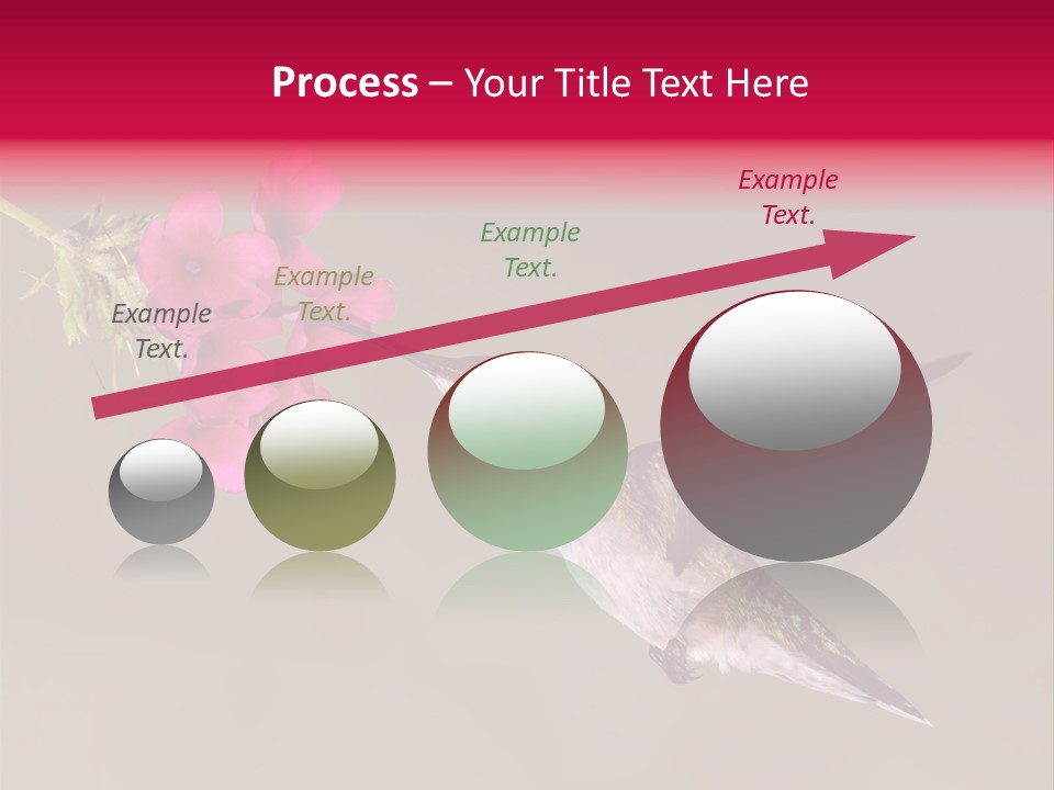 A Hummingbird Feeding From A Pink Flower PowerPoint Template