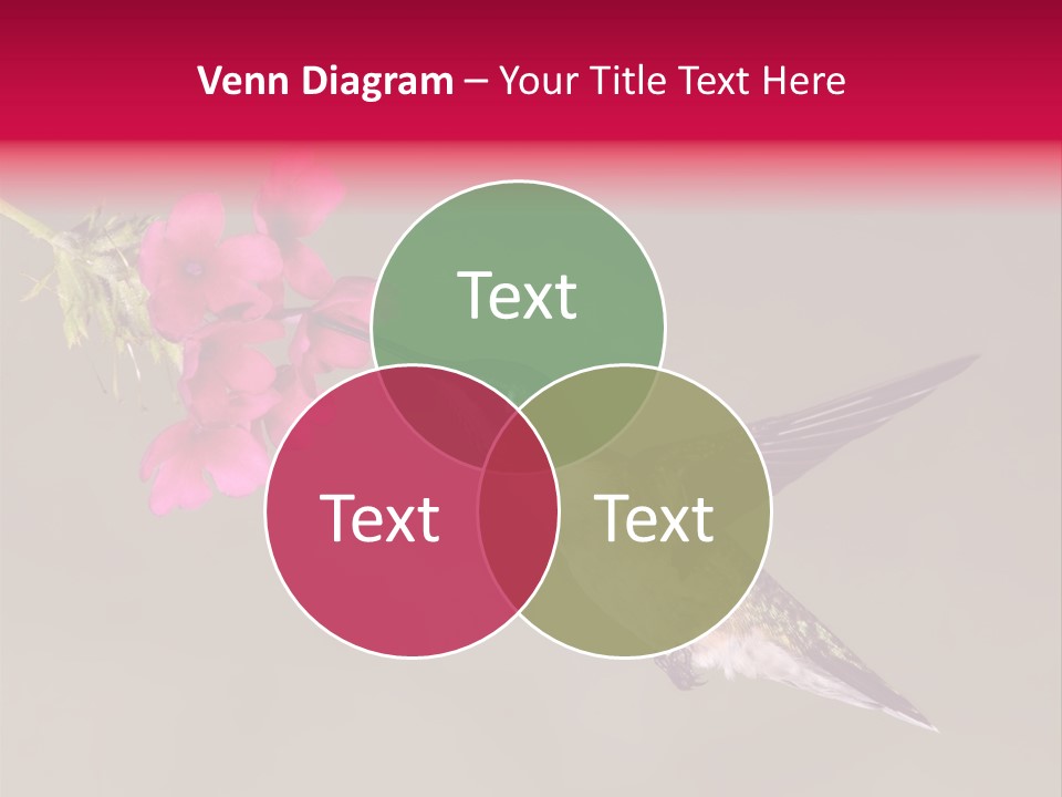 A Hummingbird Feeding From A Pink Flower PowerPoint Template