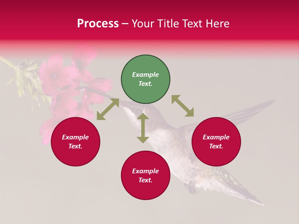 A Hummingbird Feeding From A Pink Flower PowerPoint Template
