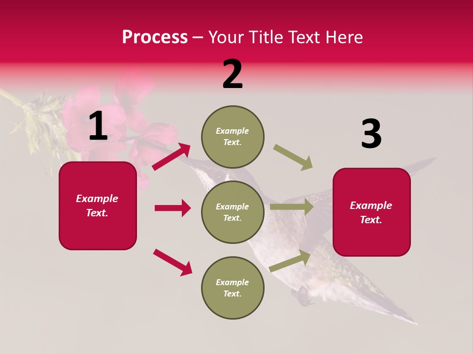 A Hummingbird Feeding From A Pink Flower PowerPoint Template