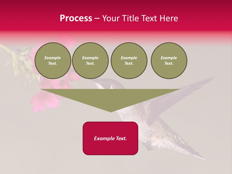 A Hummingbird Feeding From A Pink Flower PowerPoint Template